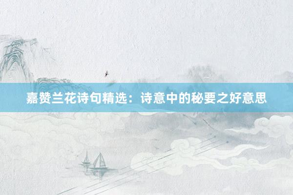 嘉赞兰花诗句精选：诗意中的秘要之好意思