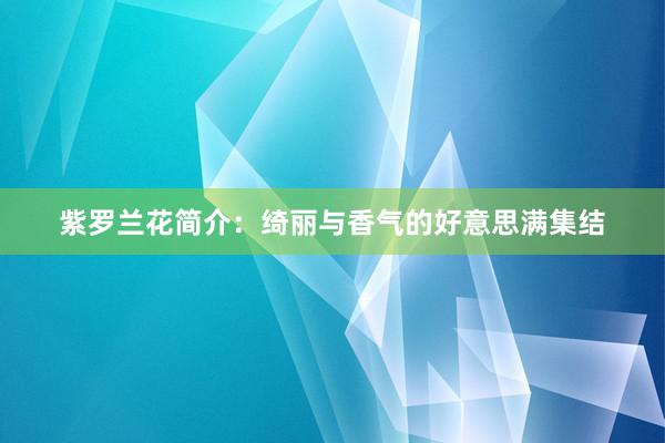 紫罗兰花简介：绮丽与香气的好意思满集结