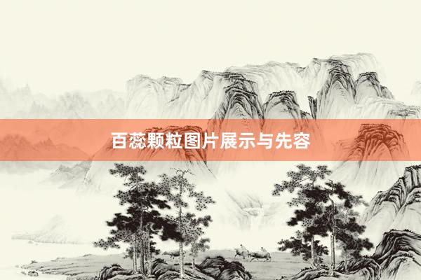 百蕊颗粒图片展示与先容